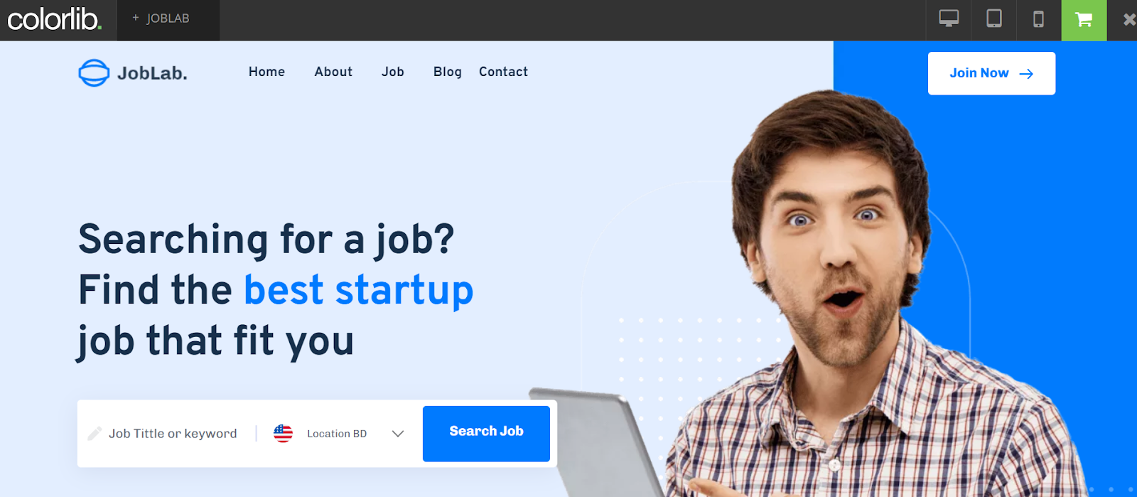 15 EasytoUse Job Board Templates in 2024 JBoard